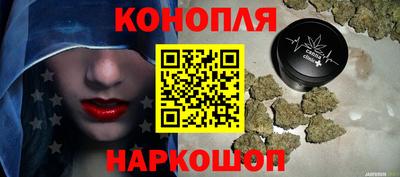 сатива Малгобек