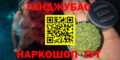 сатива Малгобек
