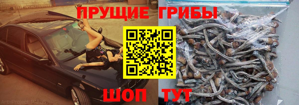 Псилоцибиновые грибы прущие грибы  Вход с VPN  Галлюциногенные грибы Cubensis  Черкесск 
